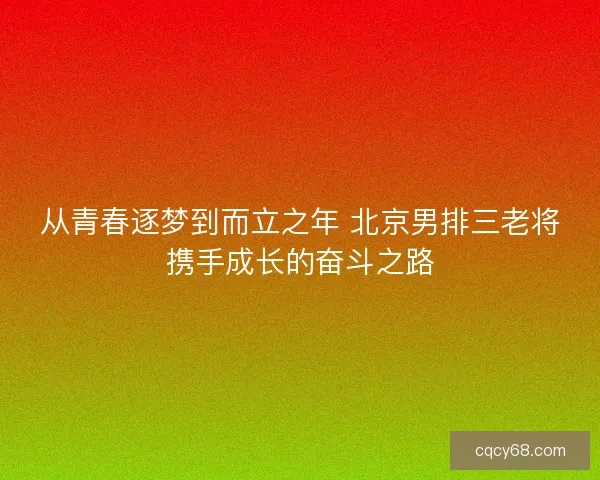 从青春逐梦到而立之年 北京男排三老将携手成长的奋斗之路
